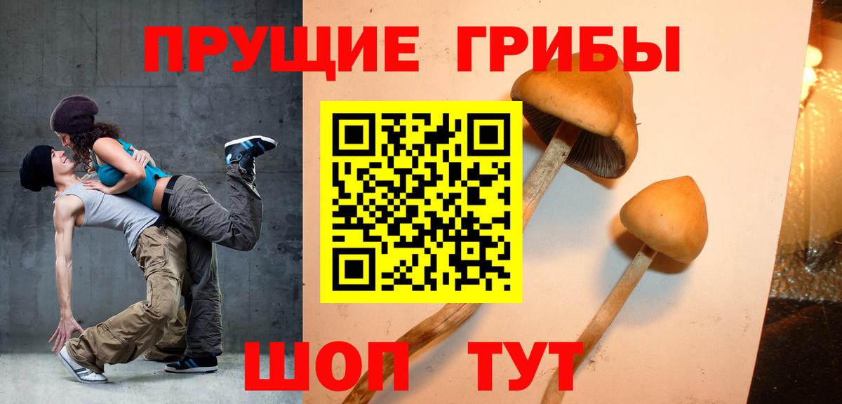цена   Вход с VPN  Мытищи  Галлюциногенные грибы Magic Shrooms 